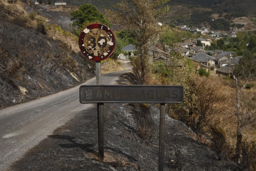 Incendio en los montes de León