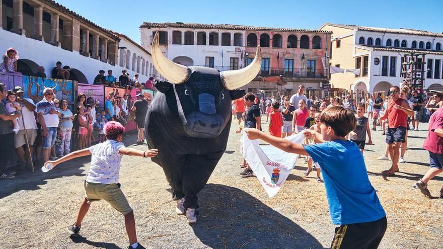 Garrovillas rinde homenaje al toro con motivo de sus Fiestas de San Roque