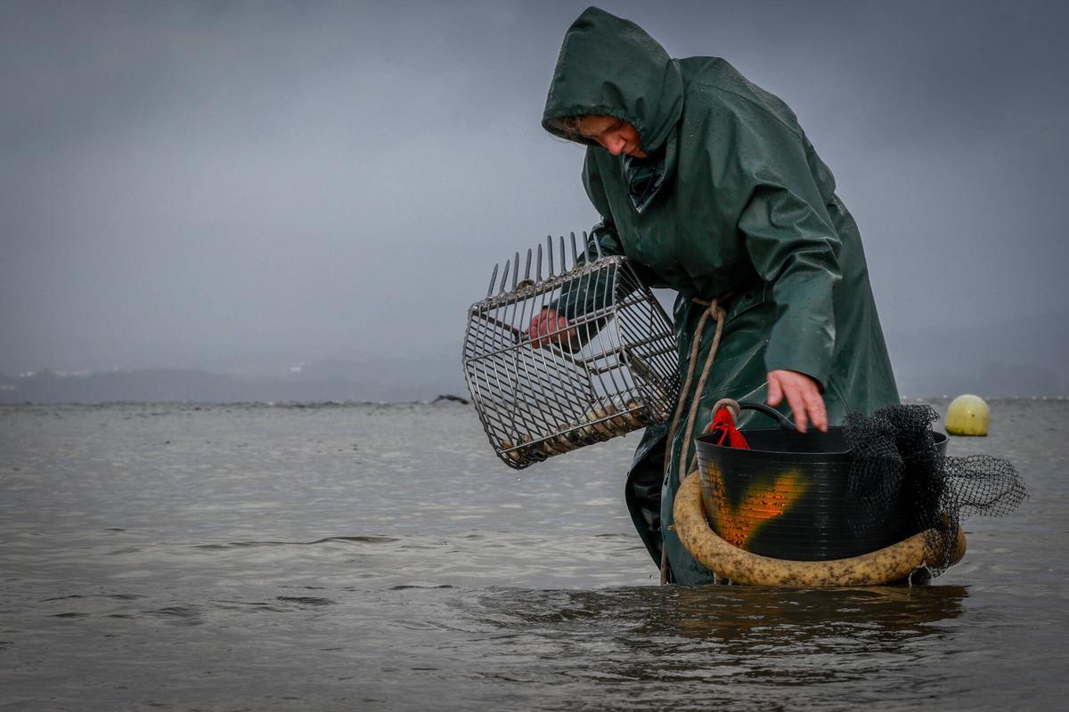 Marisqueo a pie en Vilaxoán, ayer.