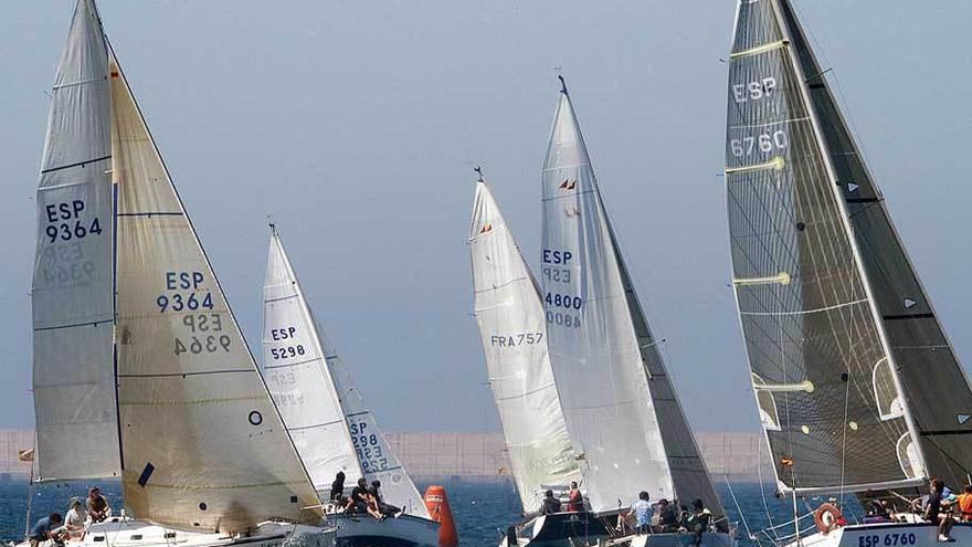 Los cruceros, durante una de las regatas.