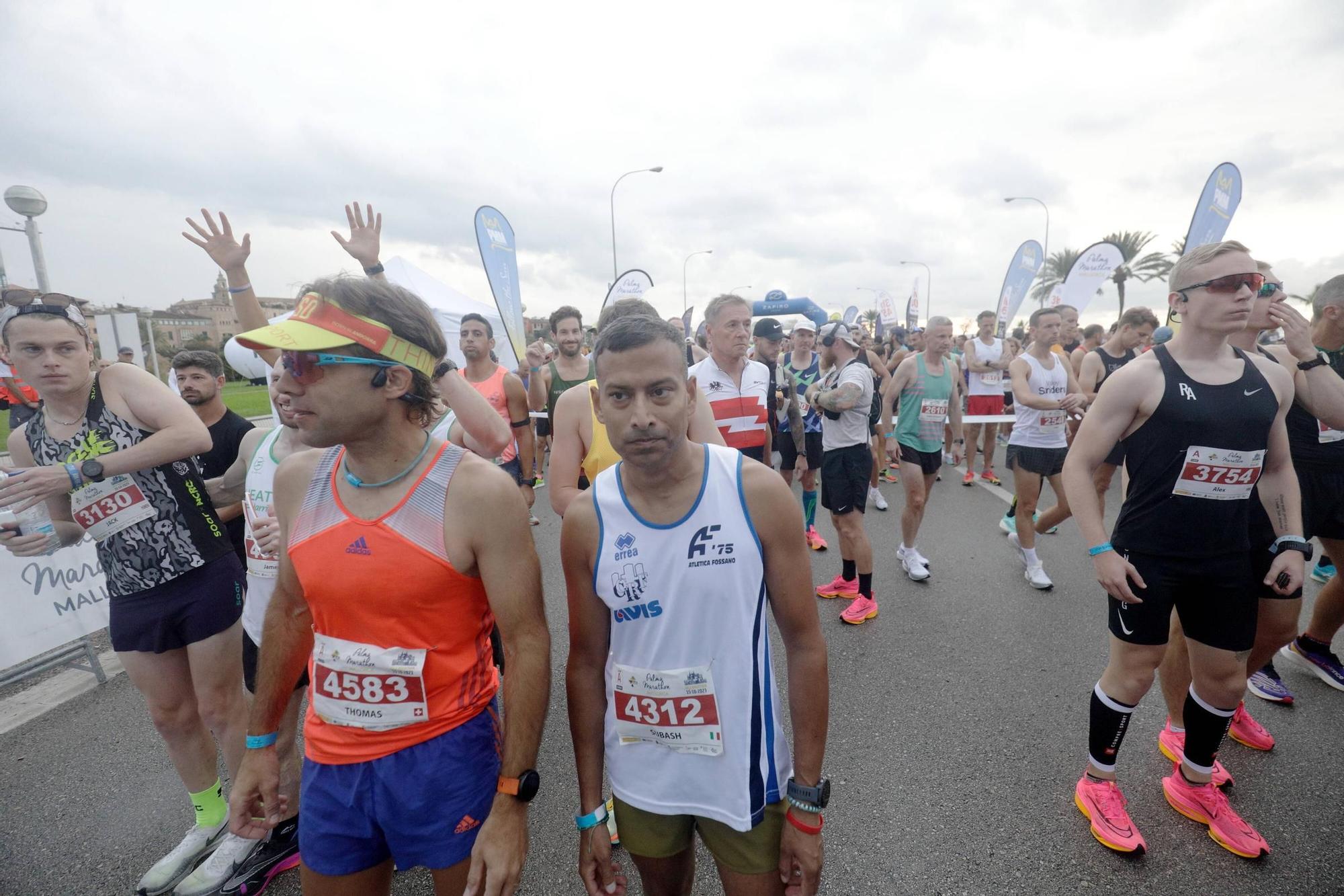 Búscate en la Palma Marathon Mallorca 2023