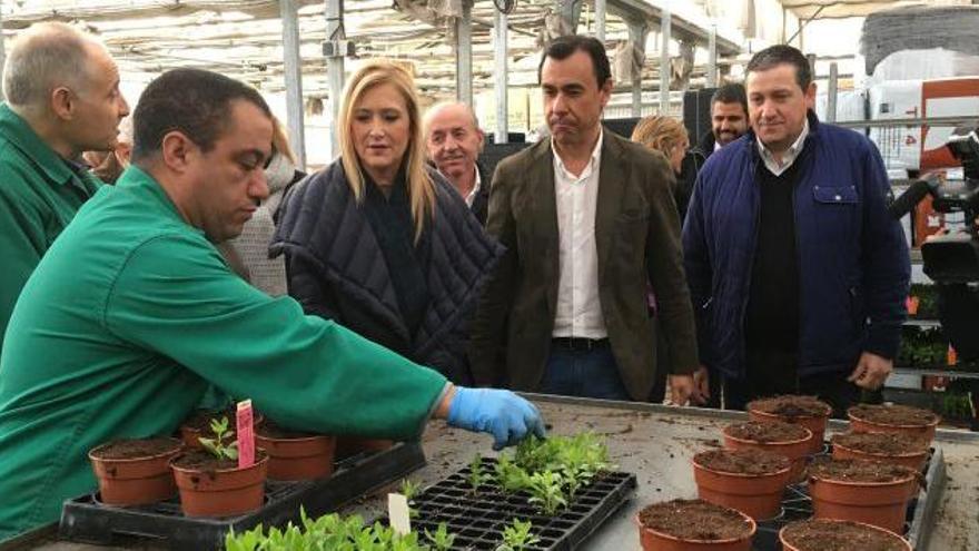 Cifuentes, durante su visita a Asprosub en Morales del Vino