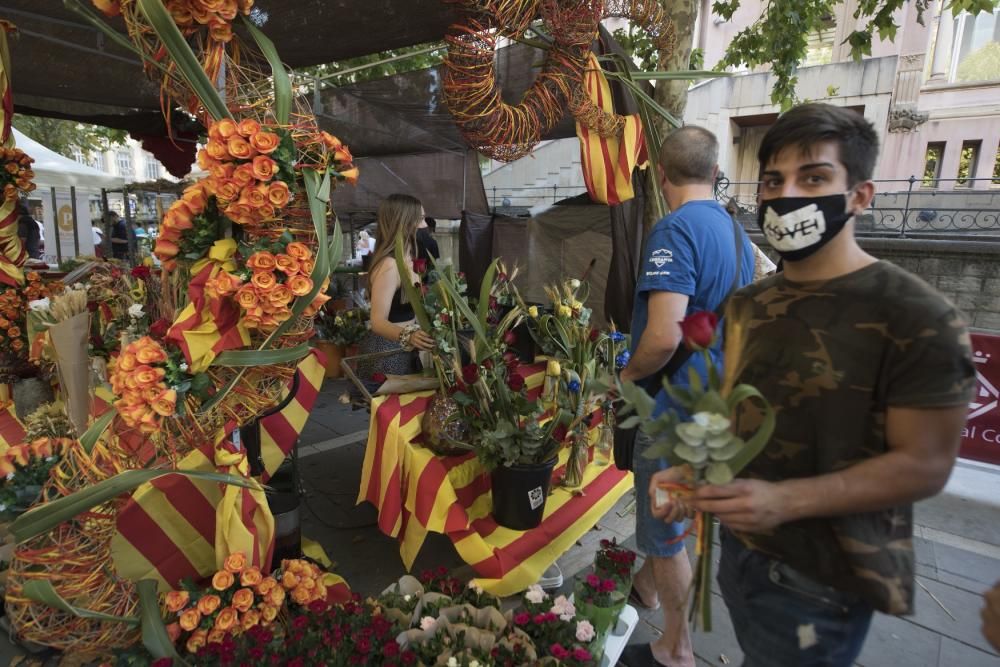 Dia del Llibre i de la Rosa a Manresa