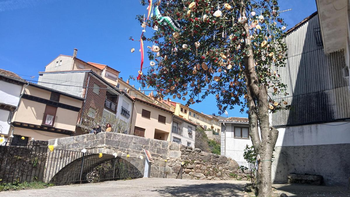 Fotogalería | El Cerezo en Flor del Jerte