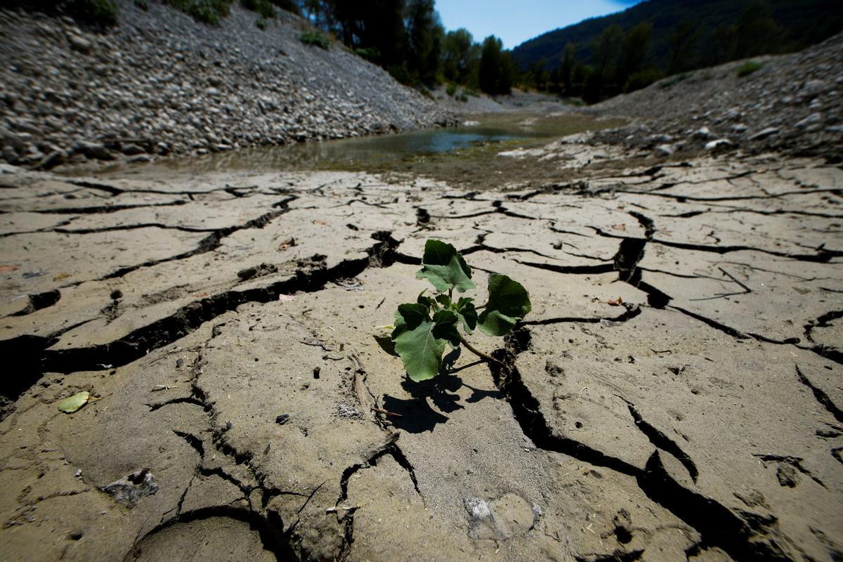 La tierra agrietada y seca se ve a orillas del lago Le Broc, mientras una sequía histórica golpea a Francia