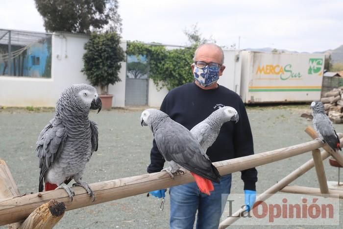 Las Águilas del Sol de Puerto Lumbreras piden ayud