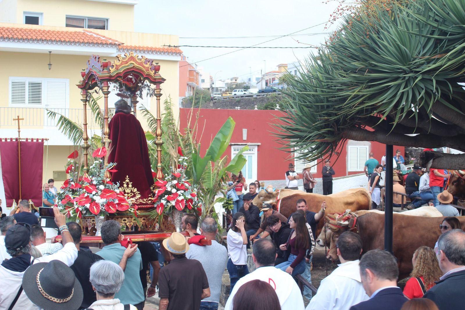 Romería de San Antonio Abad, en La Matanza