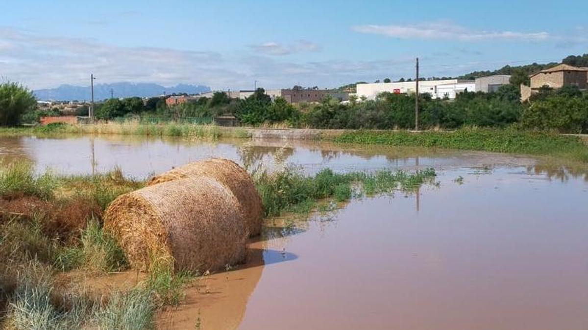 Els horts anegats per l'aiguat a Sallent