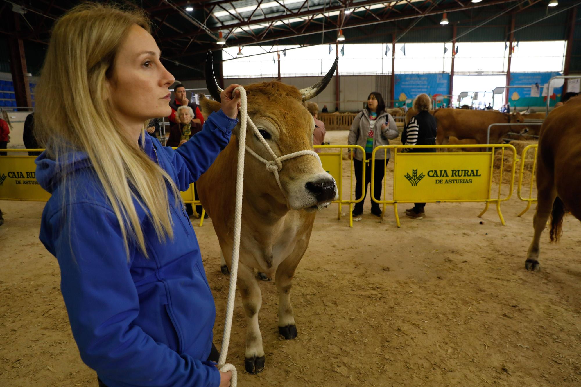 El gran cierre de La Ascensión: así fue la última jornada festiva en la feria del campo en Oviedo