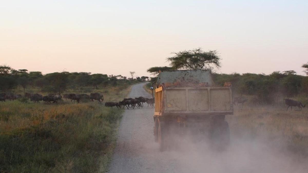 Un camión conduciendo por un camino en Tanzania