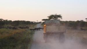 Un camión conduciendo por un camino en Tanzania.