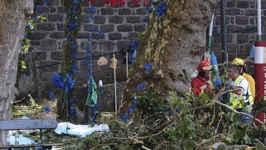 Doce muertos tras caer un árbol durante una procesión en Portugal