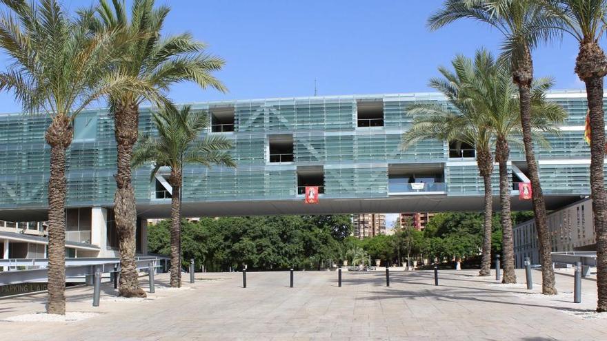 Benidorm aprueba el pago de 250.000 euros en ayudas a 290 familias