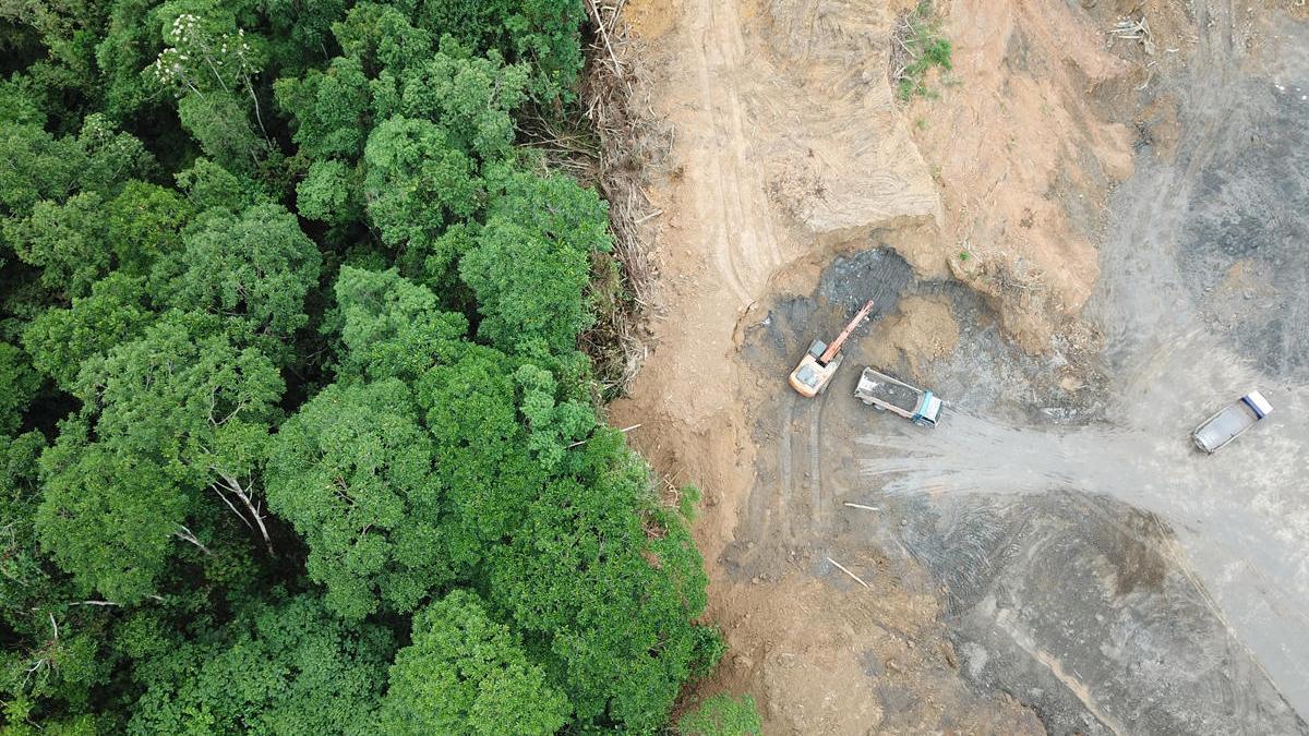 La deforestación en la Amazonía brasileña alcanza su mayor nivel desde 2008.