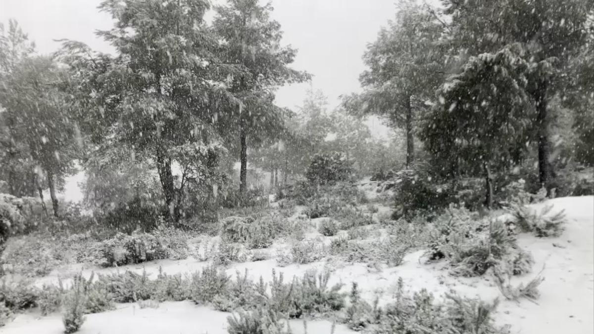 Una foto de la nieve en Ibiza.