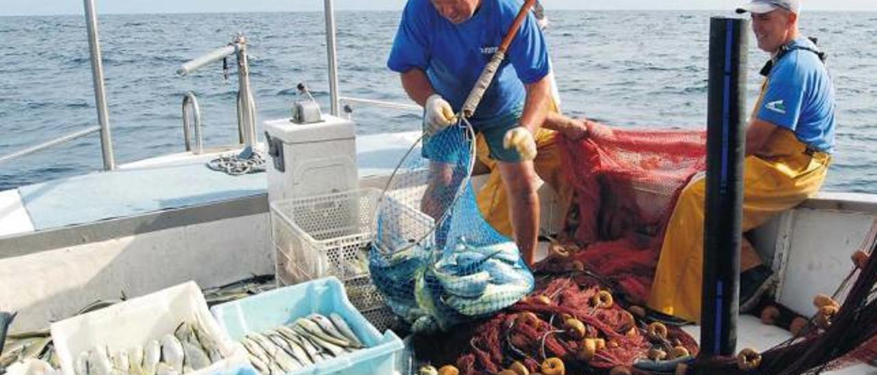 Un grupo de pescadores, en plena faena en alta mar en aguas de Mallorca.