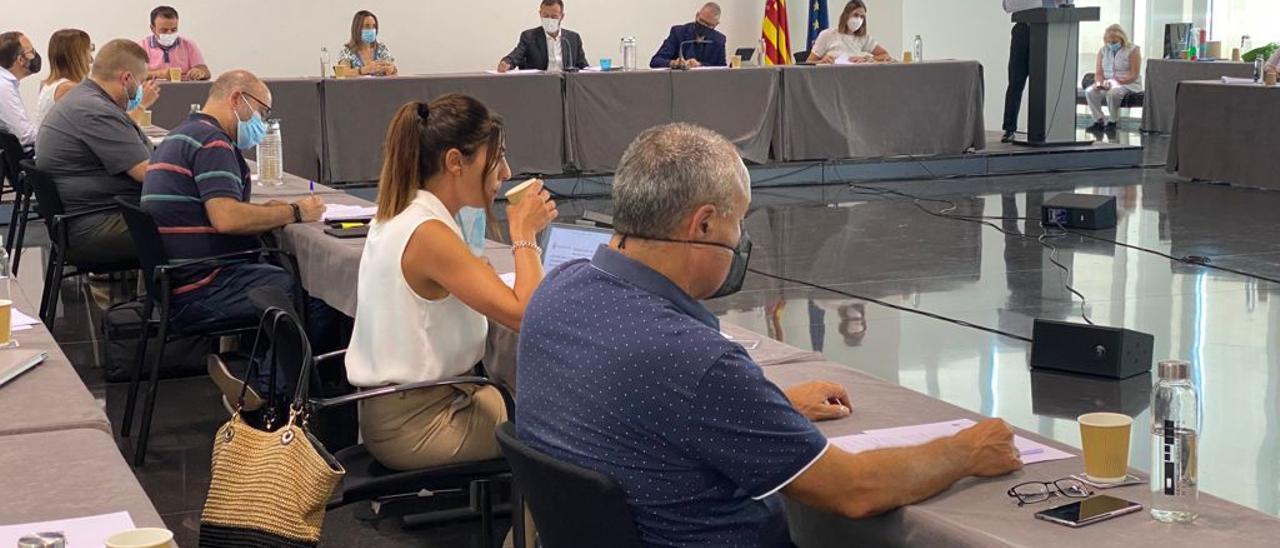 Pleno en Elche sobre la creación de ayudas para pagar el recibo de la luz