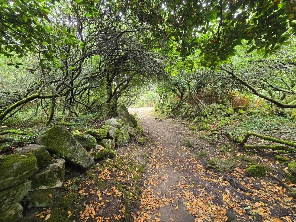 La isla de Sálvora, una de las joyas del Parque Nacional de las Islas Atlánticas de Galicia.