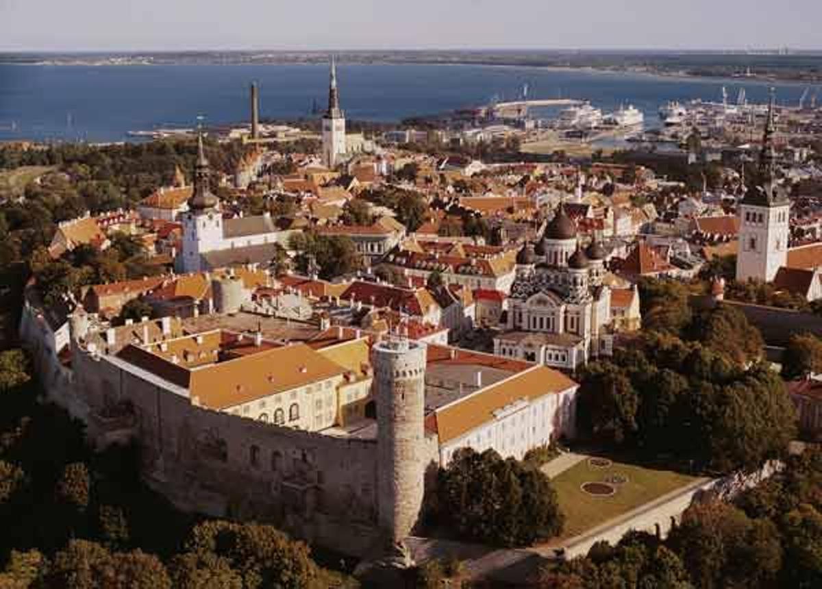 Tallin10