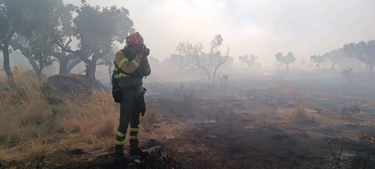 Un miembro del operativo actúa en un incendio en la comarca de Sayago