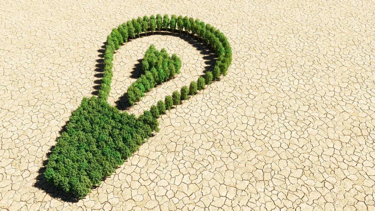Concept or conceptual group of green forest tree on dry ground background, sign of a lightbulb. 3d illustration metaphor for inspiration, brainstorming, invention, energy-saving, power, electricity