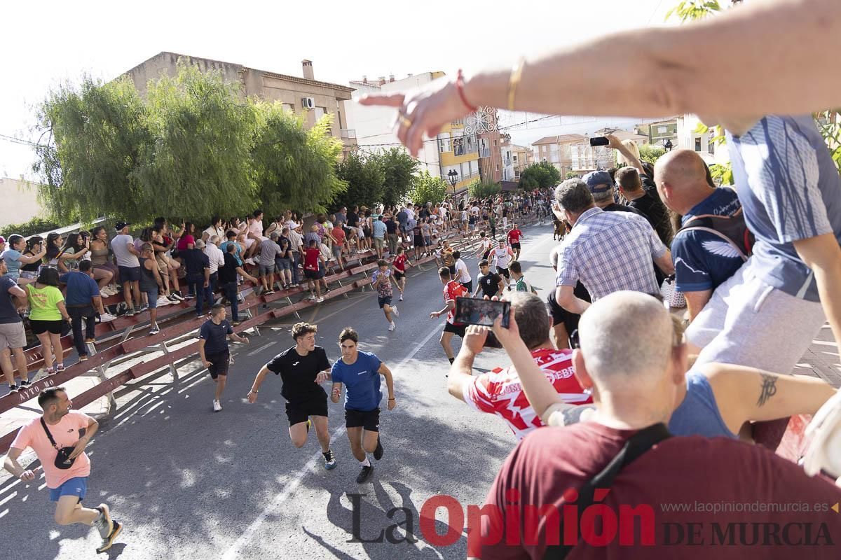 Primer encierro de las Fiestas de Moratalla
