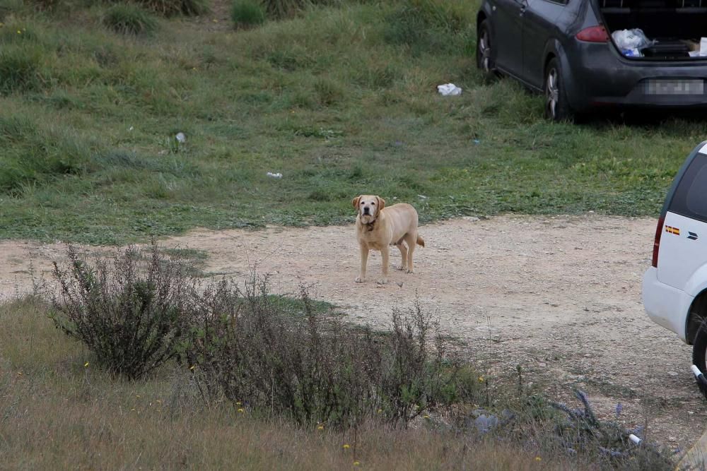 Hallan muertos a dos hombres en Sineu tras sufrir una intoxicación alimentaria