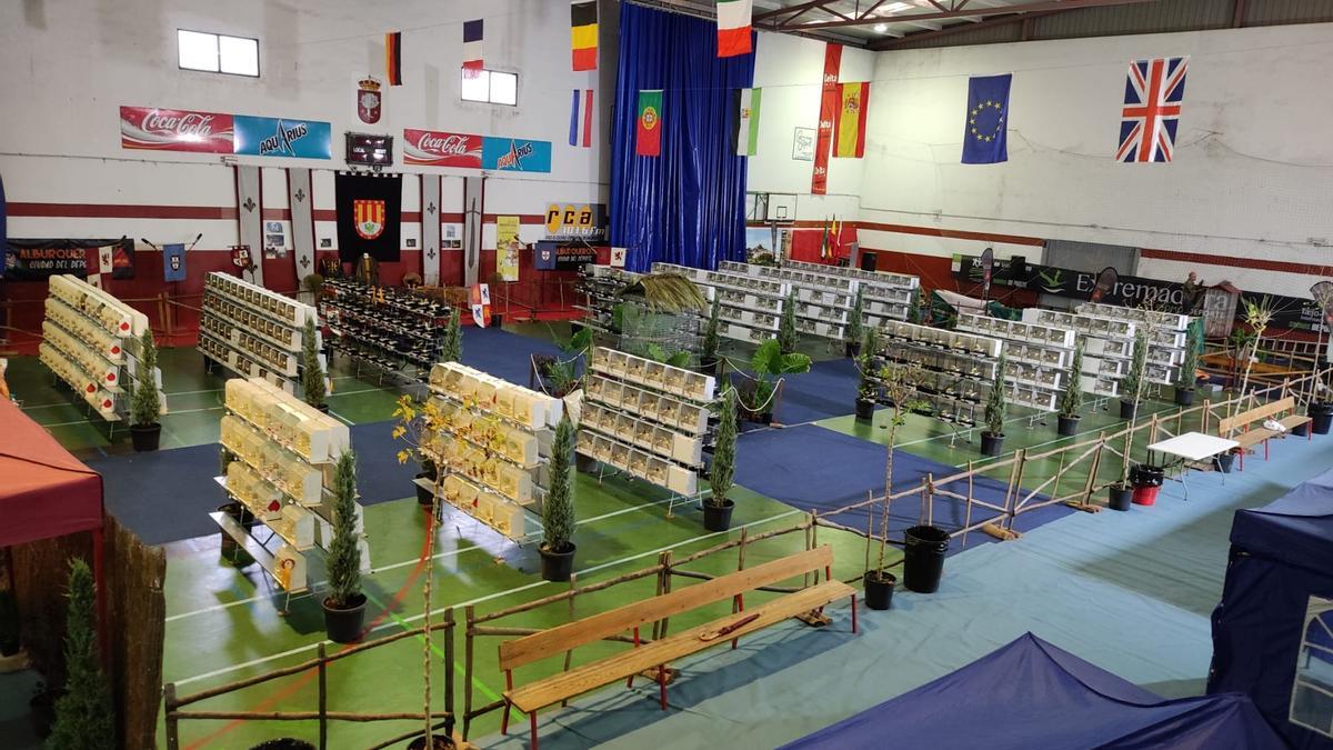 Exposición de las aves en el pabellón de Alburquerque.