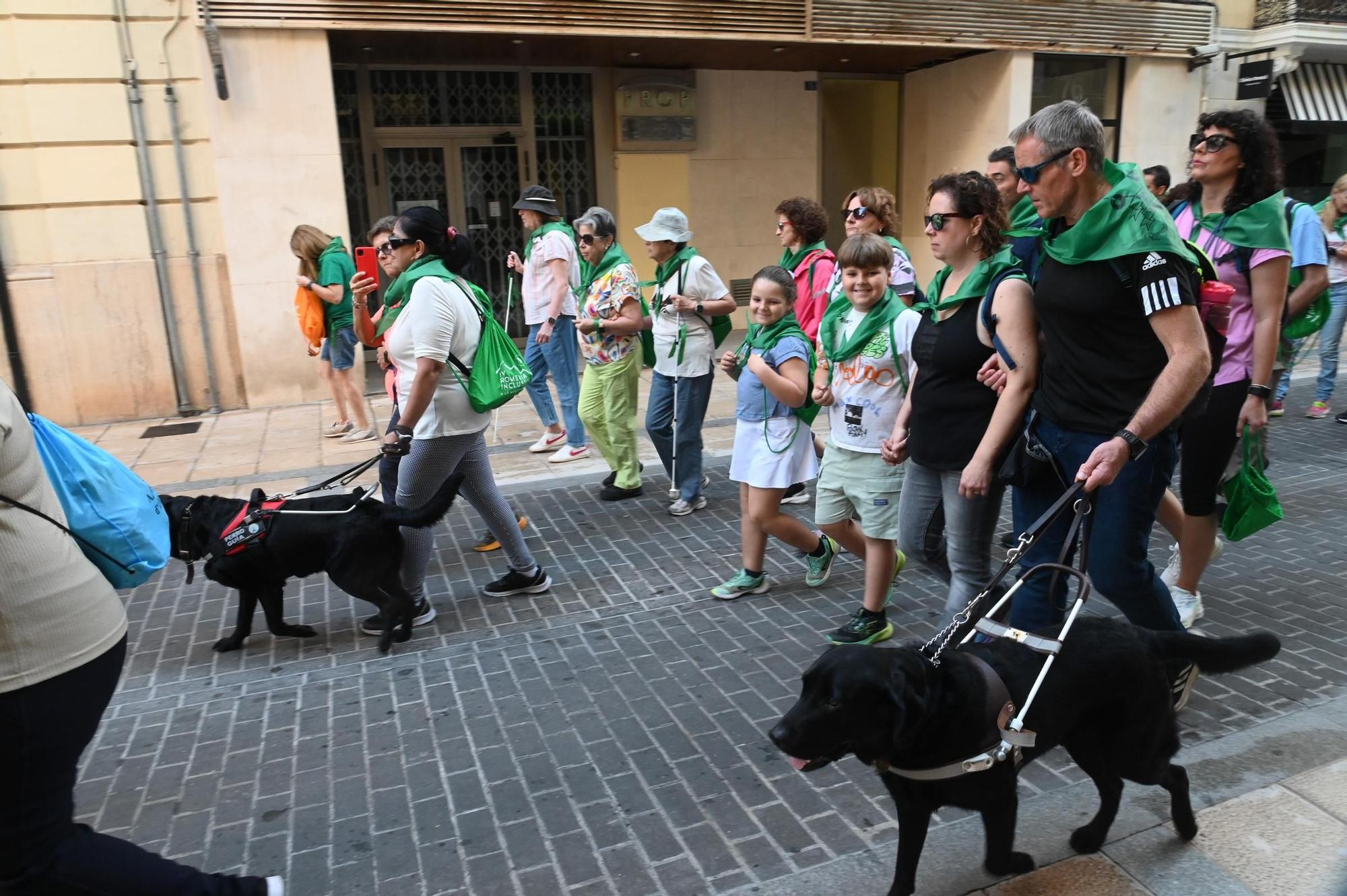 Las mejores imágenes de una romería inclusiva única en España celebrada en Castelló