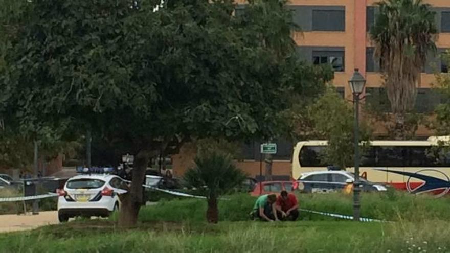 Encuentran una  granada de la Guerra Civil en un jardín de Benicalap