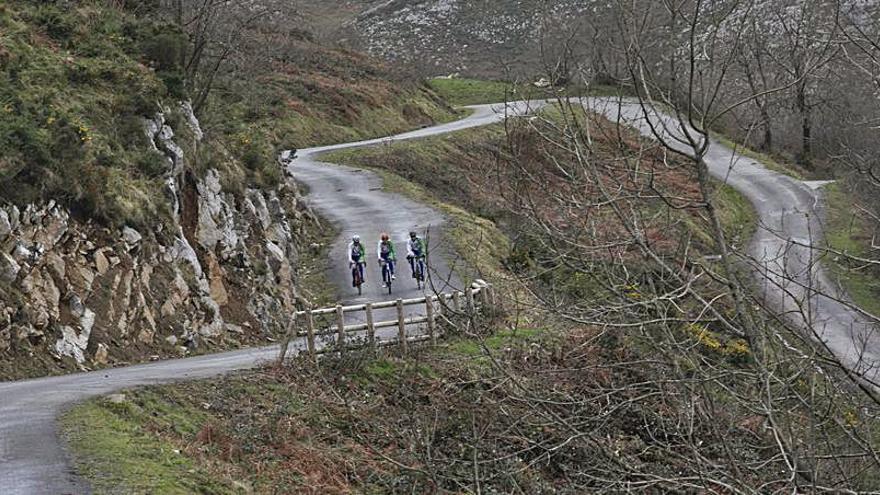 Los ciclistas, en plena ascensión.