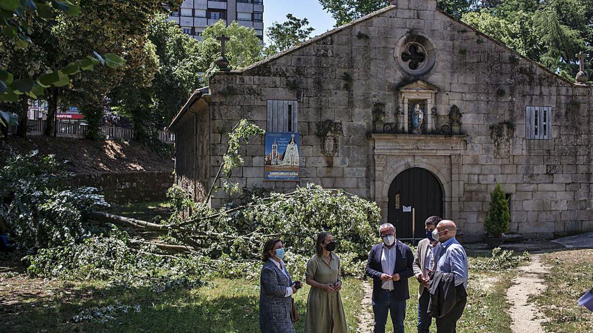 La conselleira ante los árboles dañados en Os Remedios.   | // BRAIS LORENZO