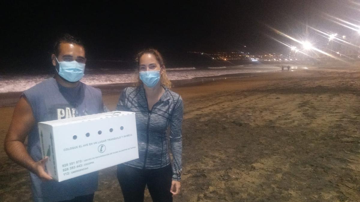 Simón Moreno y Ana Rodríguez, tras rescatar una pardela en Las Canteras