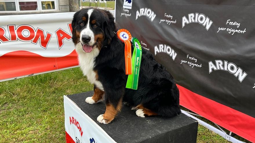 Mateo, con sus medallas.