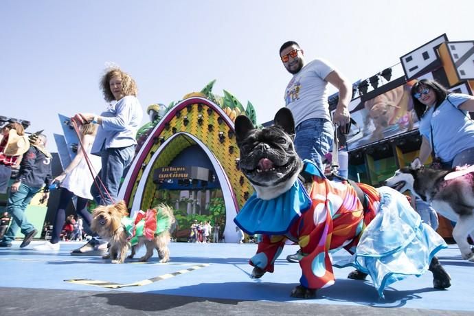 20.02.19. Las Palmas de Gran Canaria. Carnaval 2019. Público. Parque de Santa Catalina. Foto Quique Curbelo