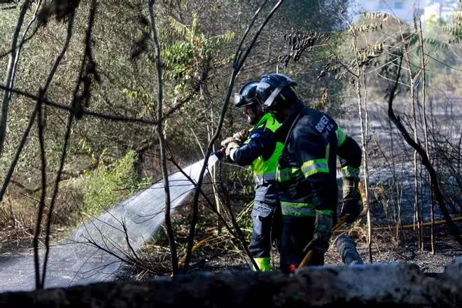 El GEN-GOB recurre a los embajadores para que el Consell y los ayuntamientos de Ibiza tomen medidas frente a incendios forestales