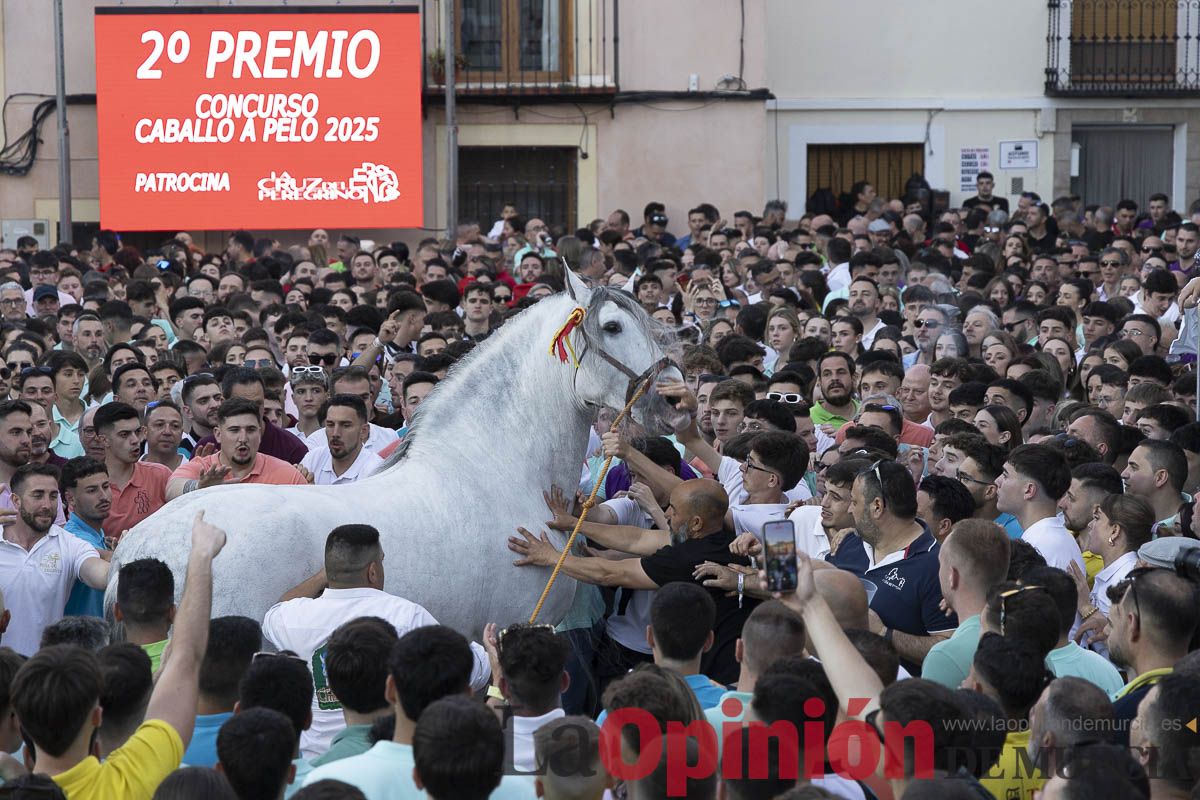 Fiestas de Caravaca | Entrega de premios del concurso morfológico