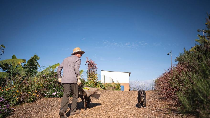 Agronomists Dismiss Health Risks Linked to Reclaimed Water Irrigation