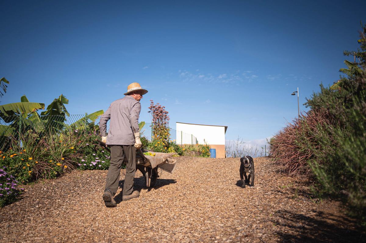 Finca Mar y Sol promueve la agricultura ecológica.