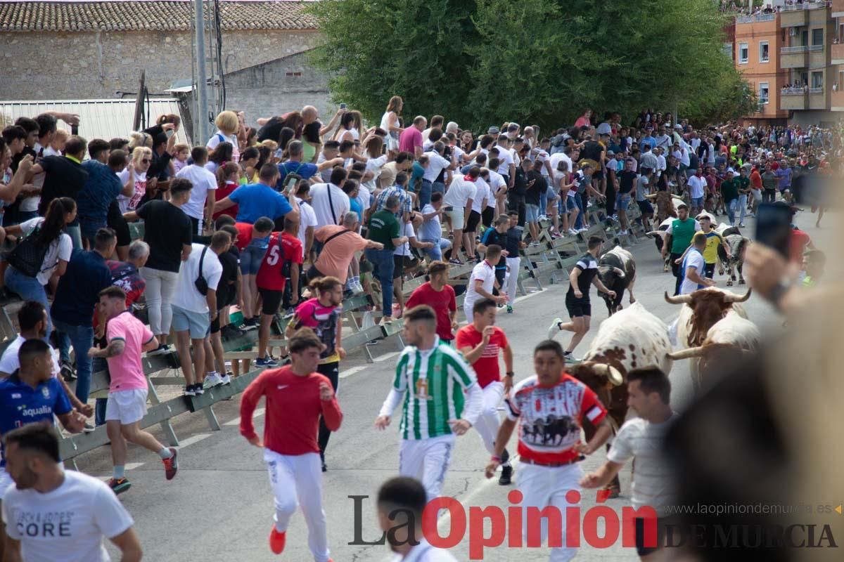 Primer encierro de la Feria del Arroz de Calasparra