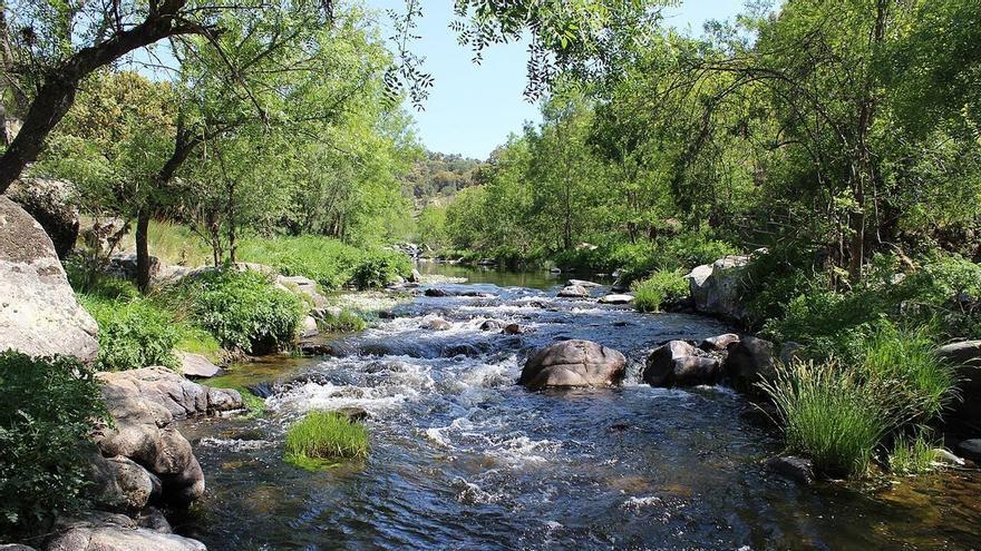 La escapada perfecta para conectar con la naturaleza está a 