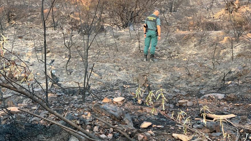 Un agente de la Guardia Civil inspecciona el terreno quemado por el incendio forestal que se ha iniciado este jueves en Aznalcóllar (Sevilla). EFE/Fermín Cabanillas