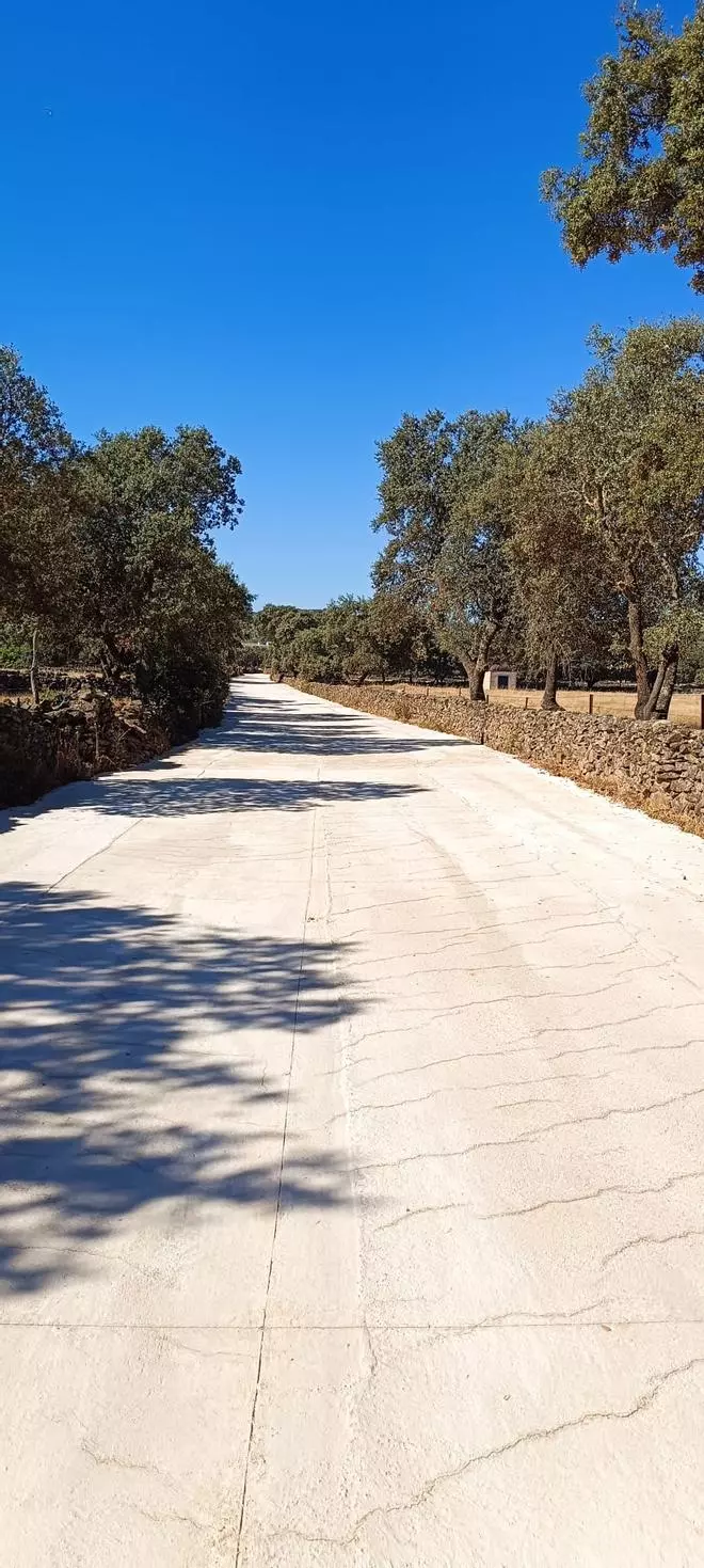 Galería | Así es el acceso renovado a la encina La Terrona