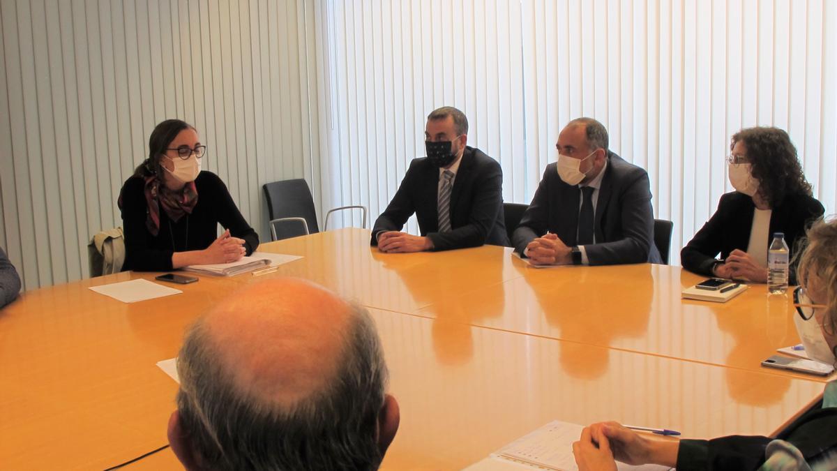 Una imagen de la reunión del conselleiro de Sanidade con preventivistas