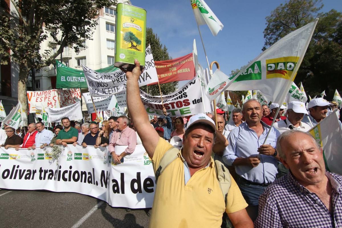 Córdoba se suma a la gran manifestación del olivar en Madrid