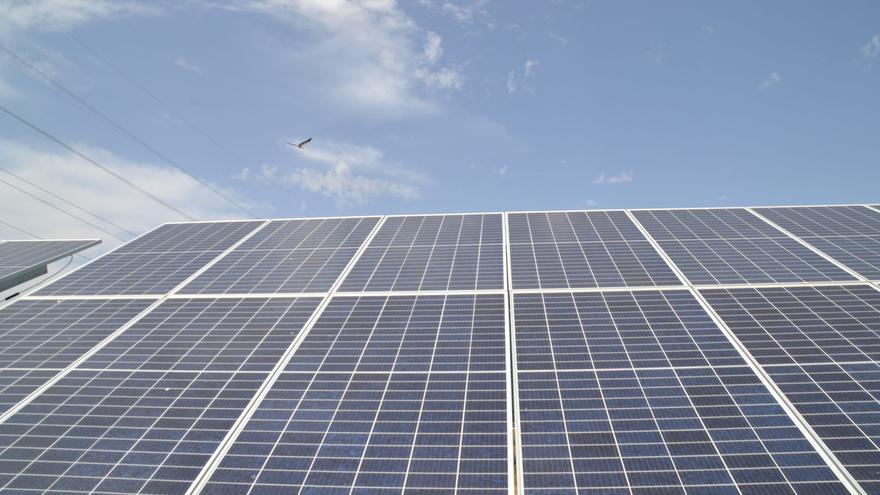 Una oficina móvil asesorará en Elche sobre plantas solares a particulares y pequeñas empresas