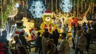 La Navidad llega a la Diputación de Alicante con su encendido de luces: &quot;Espectaculares&quot;