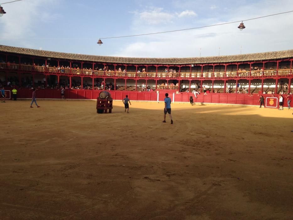 Fiestas Toro- concurso de jóvenes cortadores