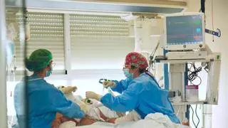 Las unidades de quemados logran recuperar a pacientes con el 85% del cuerpo dañado: "Hasta hace poco era un milagro"