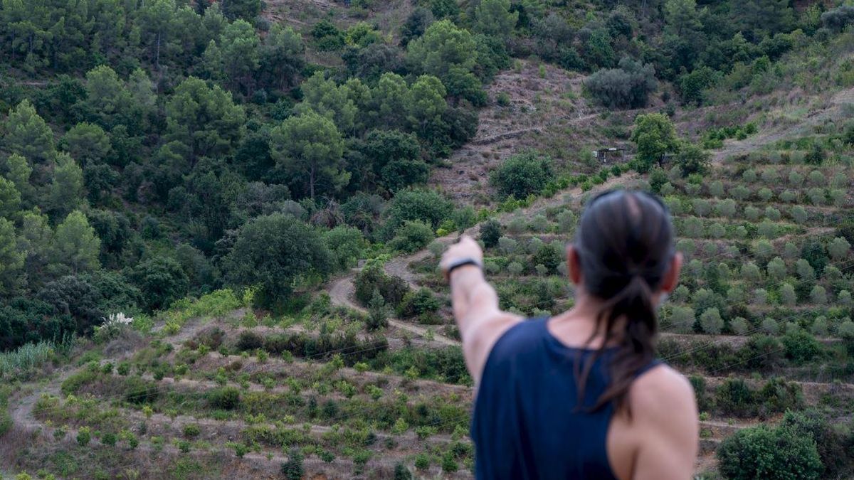 Los fuegos de nueva generación llevan al AMB a duplicar el presupuesto en prevención de incendios